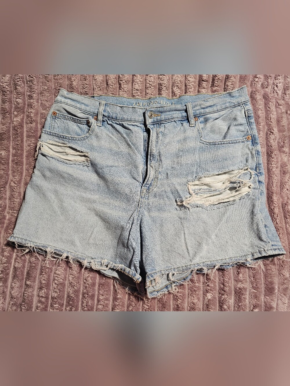 American Eagle Outfitters Light Blue Distressed Denim Cutoff Shorts